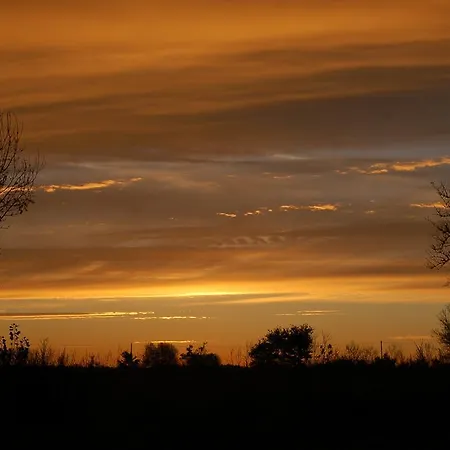 D'hote Manoir De La Baudonniere Monsireigne