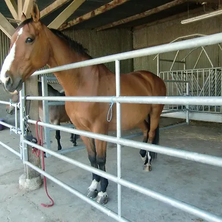 D'hote Manoir De La Baudonniere * Monsireigne