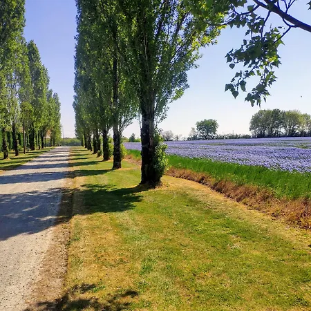 別荘 D'hote Manoir De La Baudonniere Monsireigne