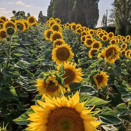 D'hote Manoir De La Baudonniere *