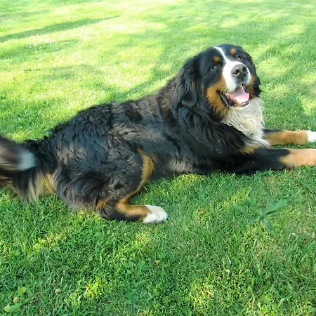 D'hote Manoir De La Baudonniere Monsireigne