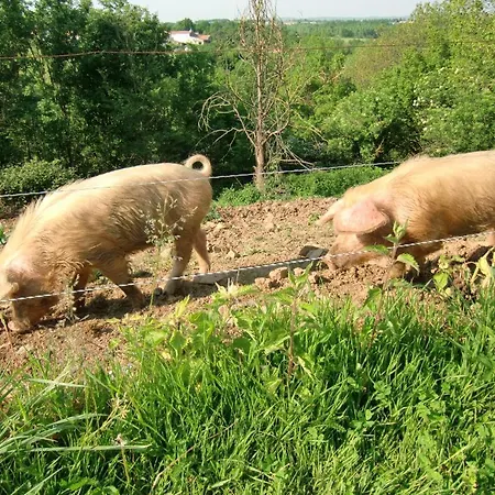 Dom wakacyjny D'hote Manoir De La Baudonniere *