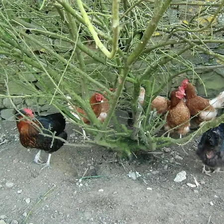 D'hote Manoir De La Baudonniere