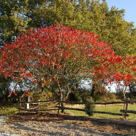 Dom wakacyjny D'hote Manoir De La Baudonniere *