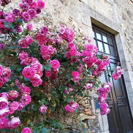 D'hote Manoir De La Baudonniere 度假居 Monsireigne