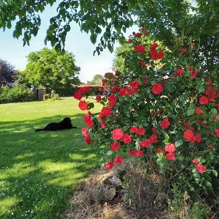 D'hote Manoir De La Baudonniere Dom wakacyjny Monsireigne