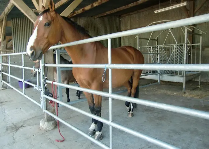 D'hote Manoir De La Baudonniere * Monsireigne