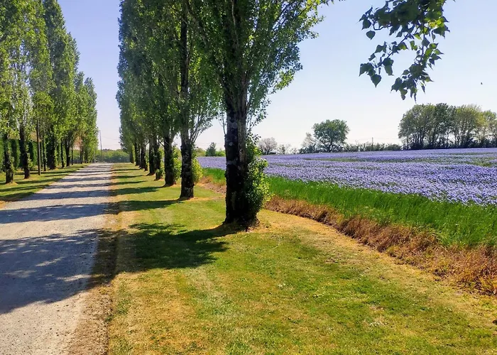 Vakantiehuis D'hote Manoir De La Baudonniere Monsireigne