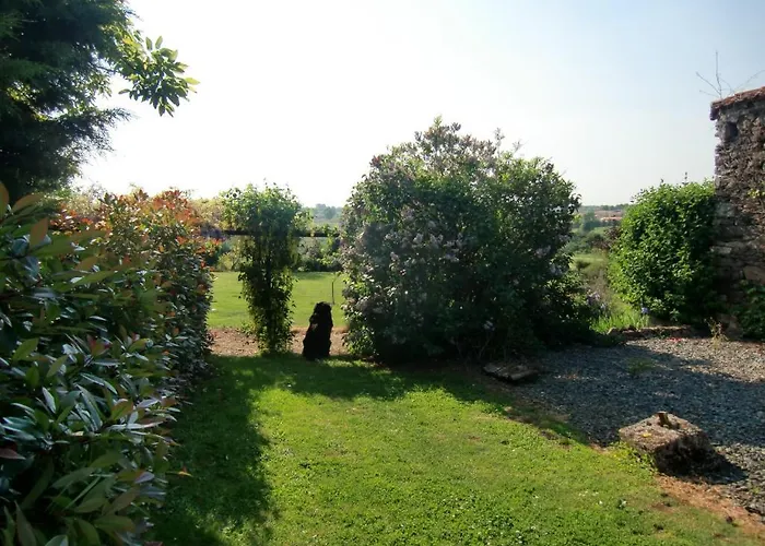 D'hote Manoir De La Baudonniere * Monsireigne