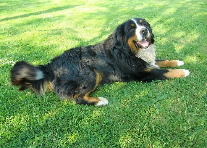 D'hote Manoir De La Baudonniere Monsireigne