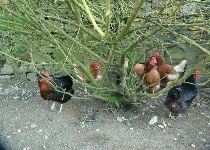 D'hote Manoir De La Baudonniere