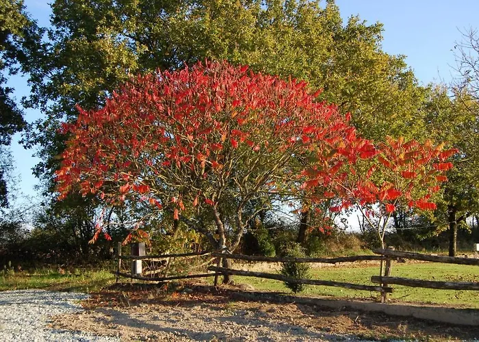 بيت للعطل D'hote Manoir De La Baudonniere *