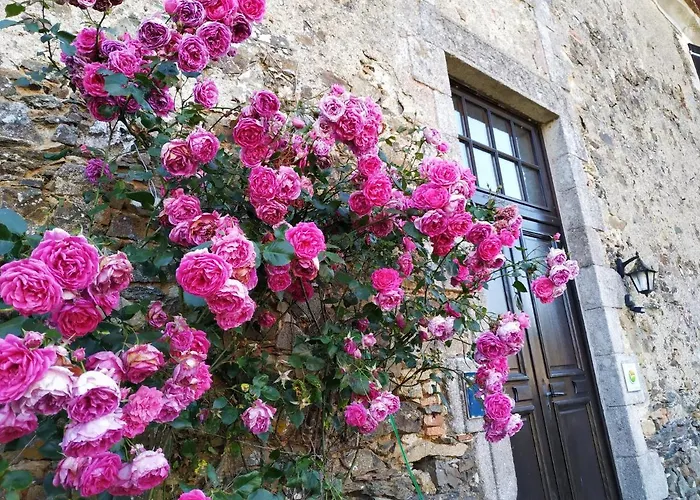 D'hote Manoir De La Baudonniere بيت للعطل Monsireigne