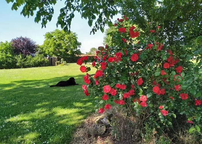 D'hote Manoir De La Baudonniere Vakantiehuis Monsireigne