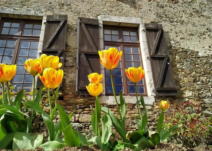 D'hote Manoir De La Baudonniere *